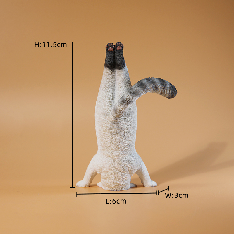 Mini-Simulations-Fitness-Katze – Yoga Fitness Tva Bewertung und Preis